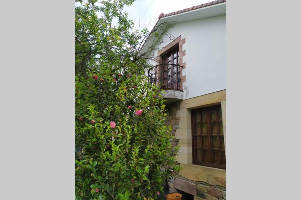 Casa Las Lindes Valle de Cabuerniga , Cantabria Esterno foto